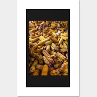 Yellow corn cobs in a barn Posters and Art